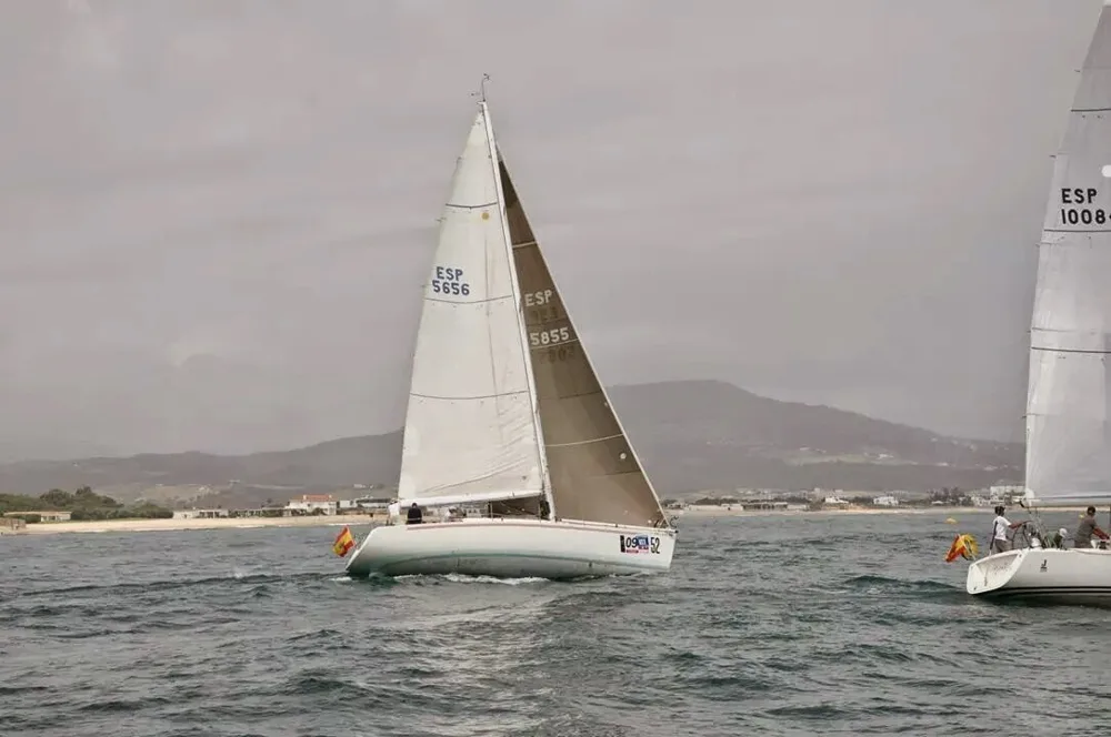Régate de voiliers près de la côte